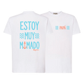 Camiseta adulto (personalizada)